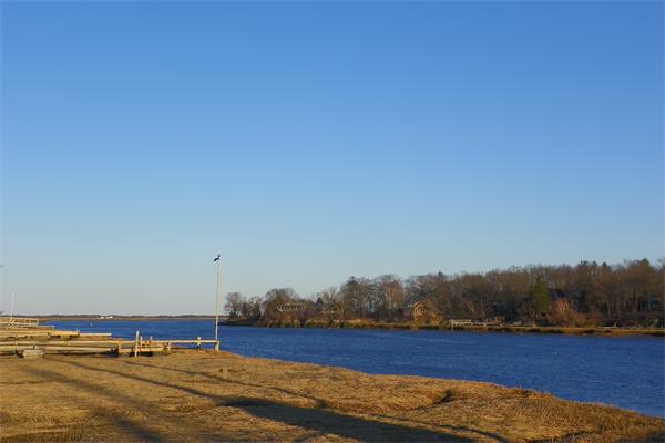 Viewing Image 6