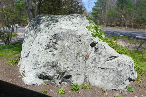 Viewing Image 9