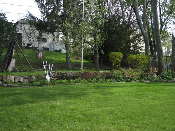 Viewing Image 4