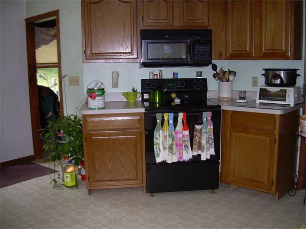 Viewing Image 6