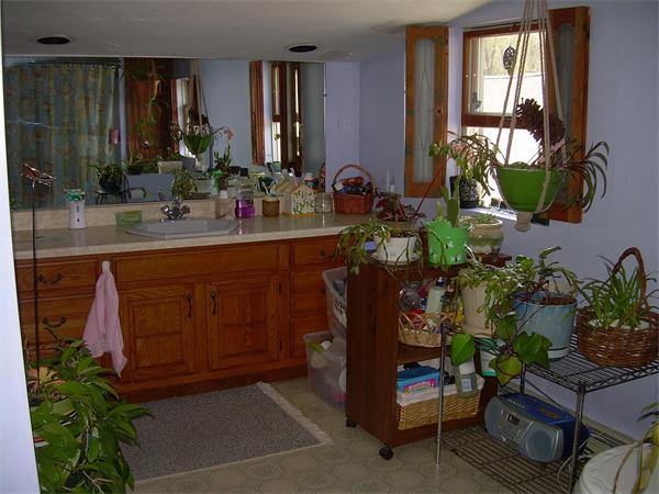 Viewing Image 9