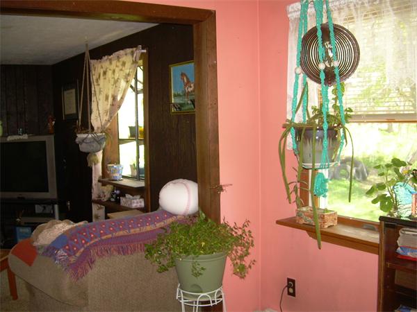 Viewing Image 11