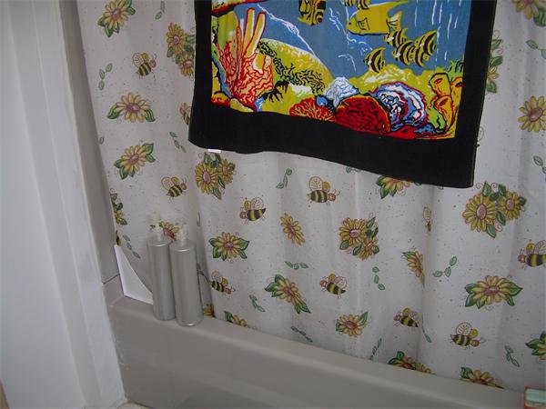 Viewing Image 14
