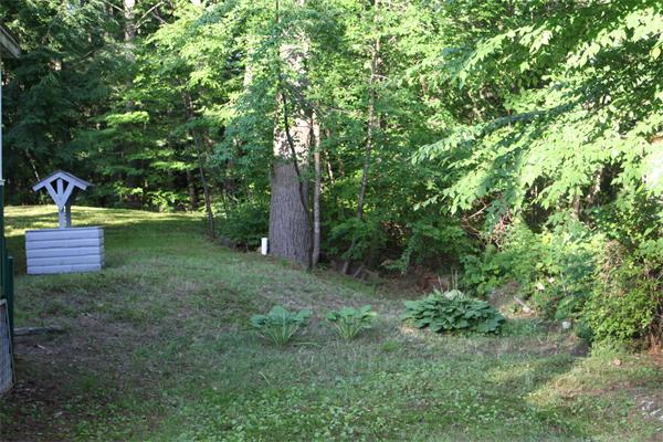 Viewing Image 15