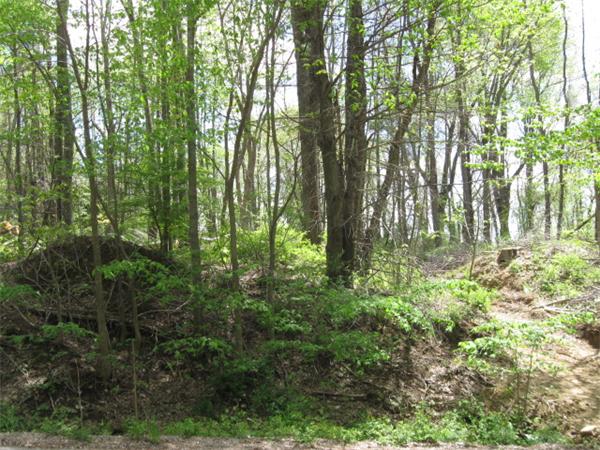 Land for Sale, ListingId:16843700, location: Lot 0 Pumpkin Lane Charlton 01507
