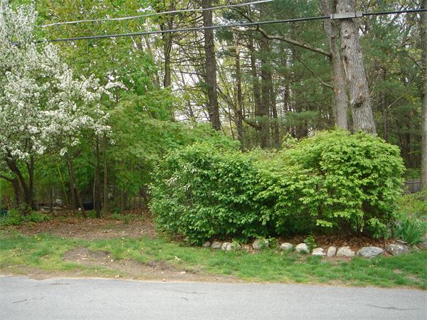 Land for Sale, ListingId:16847322, location: 86 Smith St R/Old Middlesex Tpk Chelmsford 01824