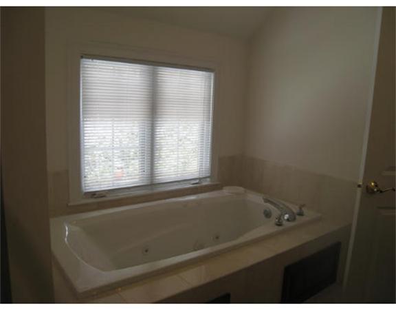 Viewing Image 12