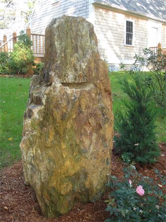 Viewing Image 8