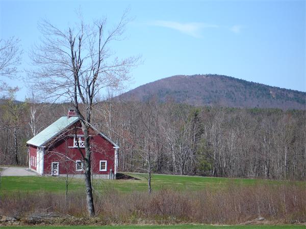 Viewing Image 5