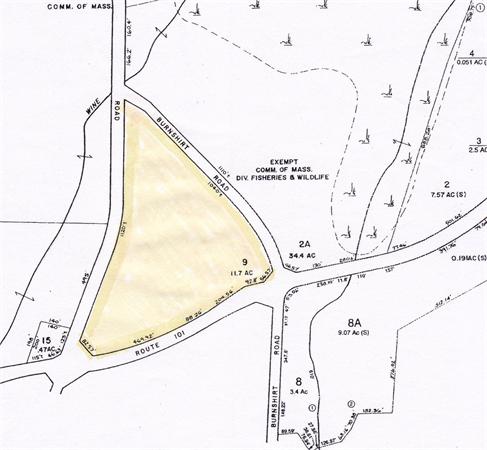 Viewing Image 7