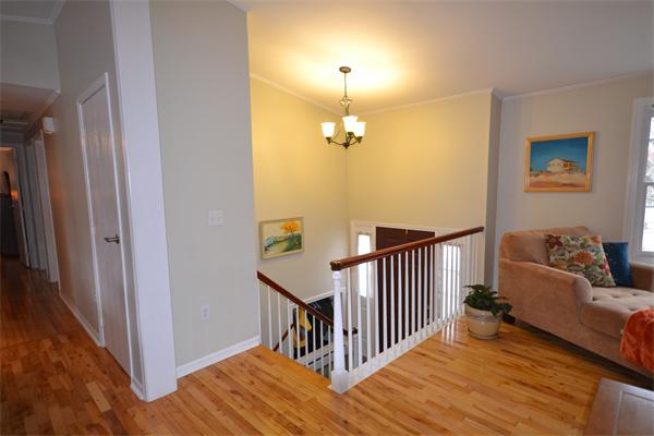Viewing Image 7