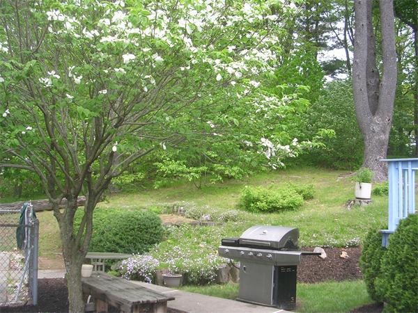 Viewing Image 18