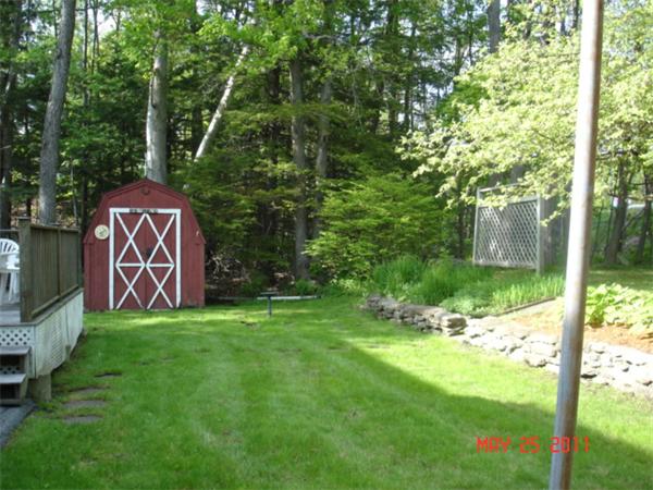 Viewing Image 11