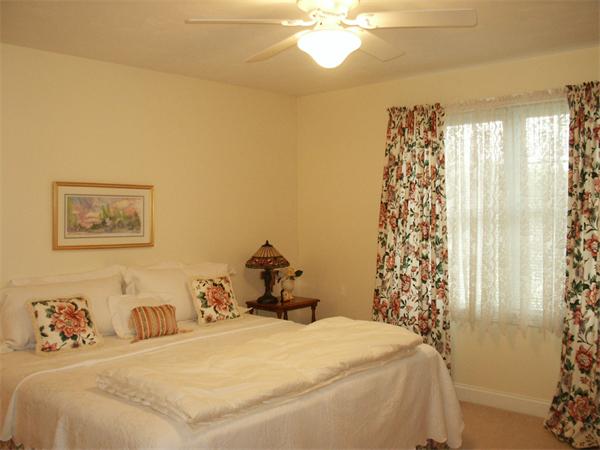 Viewing Image 15