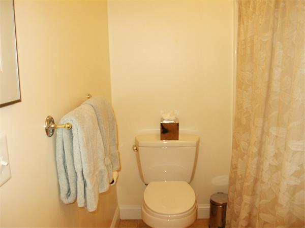 Viewing Image 17