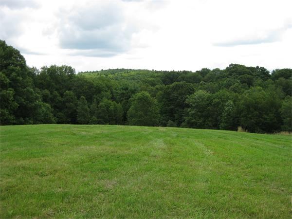 Viewing Image 9