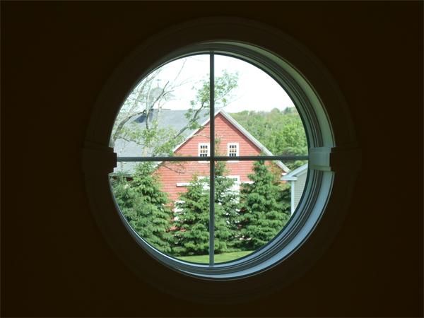 Viewing Image 4