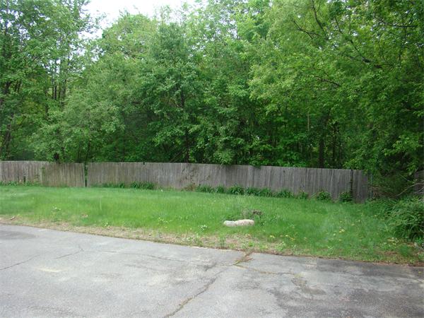 Viewing Image 8