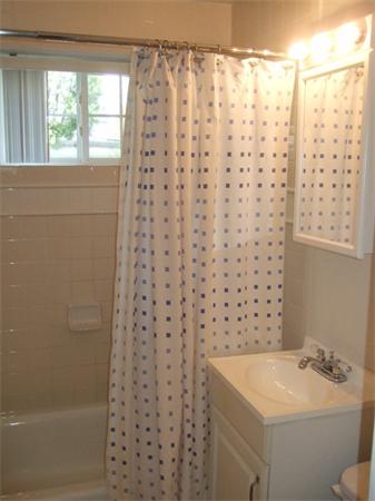 Viewing Image 11
