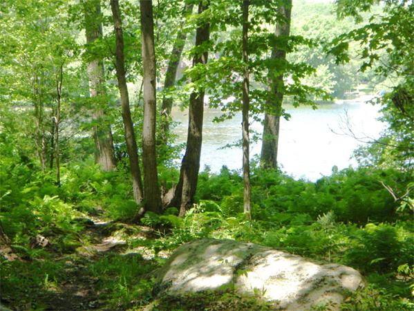 Viewing Image 19