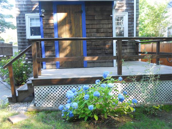 Viewing Image 14