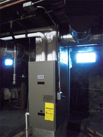 Viewing Image 5