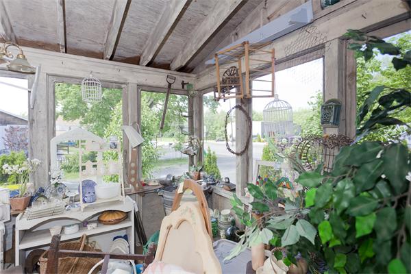 Viewing Image 9