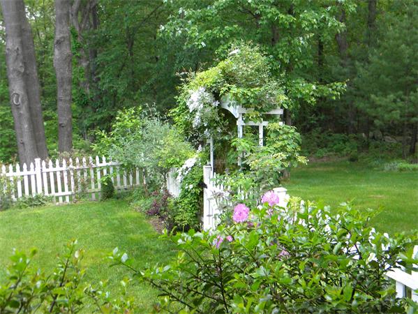 Viewing Image 26