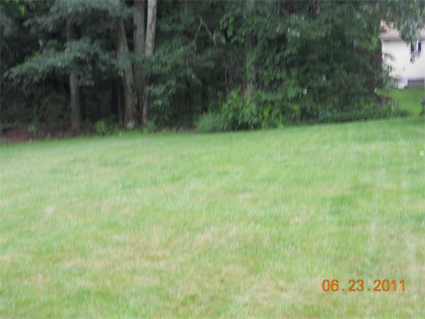 Viewing Image 20