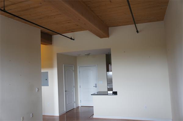 Viewing Image 4