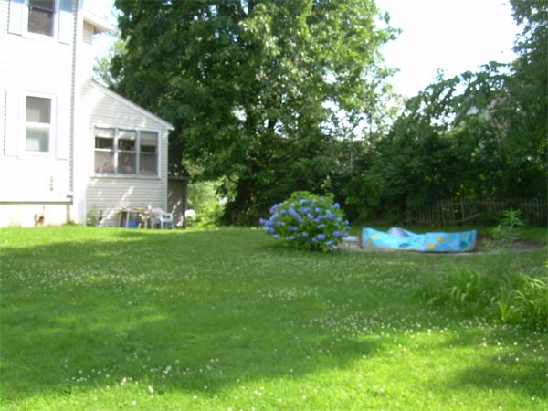 Viewing Image 8