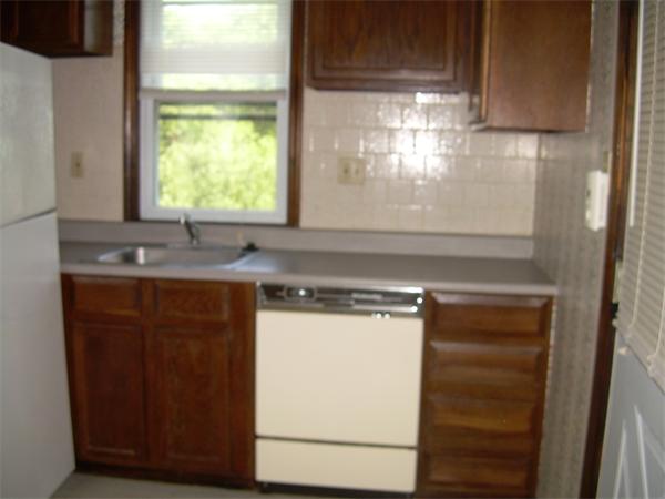 Viewing Image 11