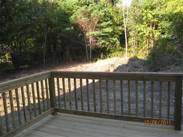 Viewing Image 11