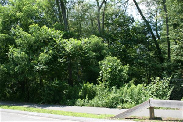 Land for Sale, ListingId:17100755, location: lot 1 Ramsdell Way Lynnfield 01940