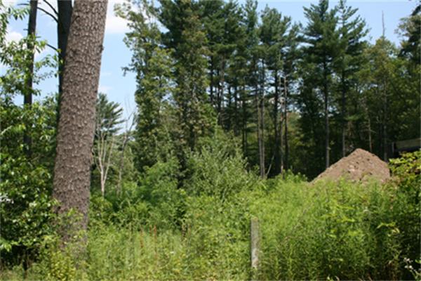 Land for Sale, ListingId:17100757, location: lot 8 Ramsdell Way Lynnfield 01940