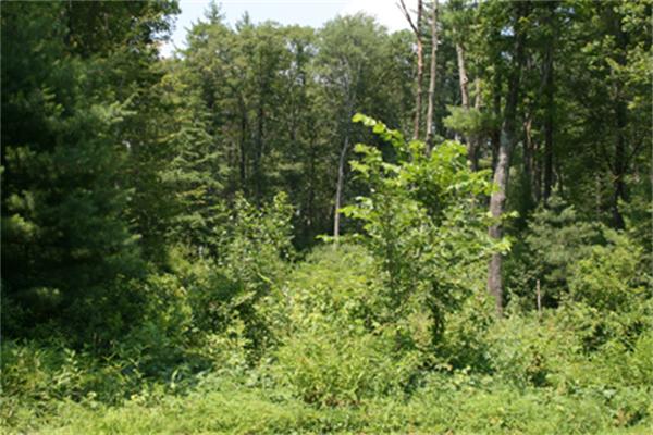 Land for Sale, ListingId:17100795, location: 173 Marblehead Street North Reading 01864