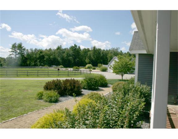 Viewing Image 12