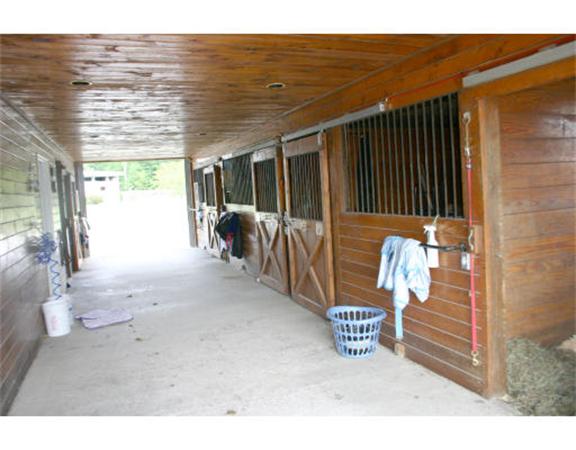 Viewing Image 15