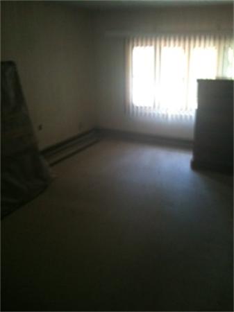 Viewing Image 5
