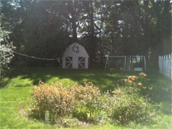 Viewing Image 7