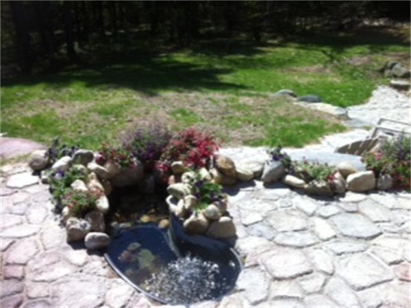 Viewing Image 8