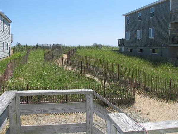 Viewing Image 6