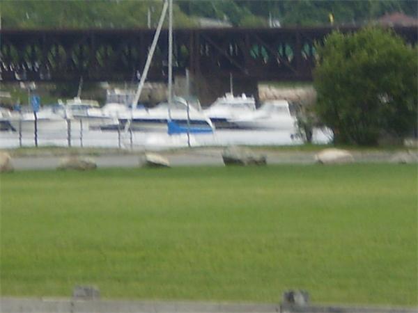 Viewing Image 4