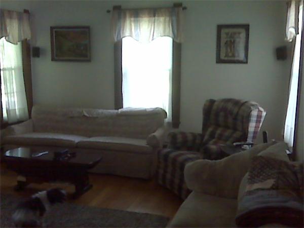 Viewing Image 8