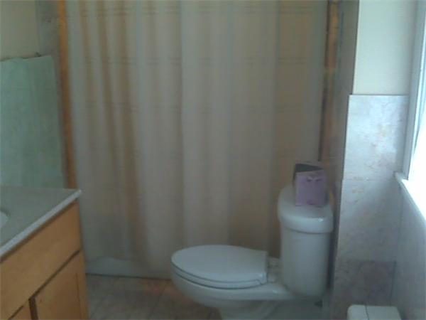 Viewing Image 11