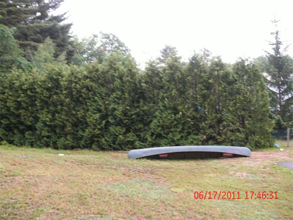 Viewing Image 5
