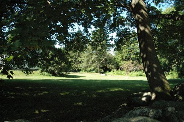 Viewing Image 2