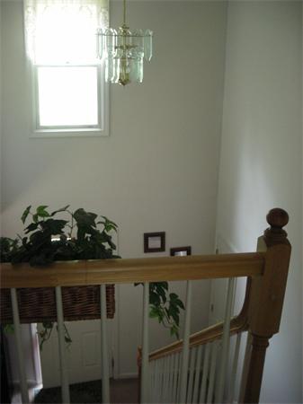 Viewing Image 9