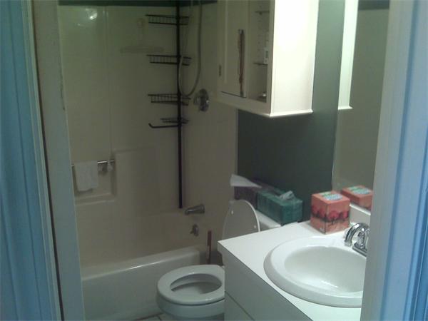Viewing Image 4
