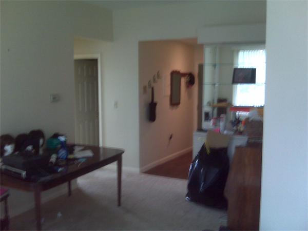 Viewing Image 8